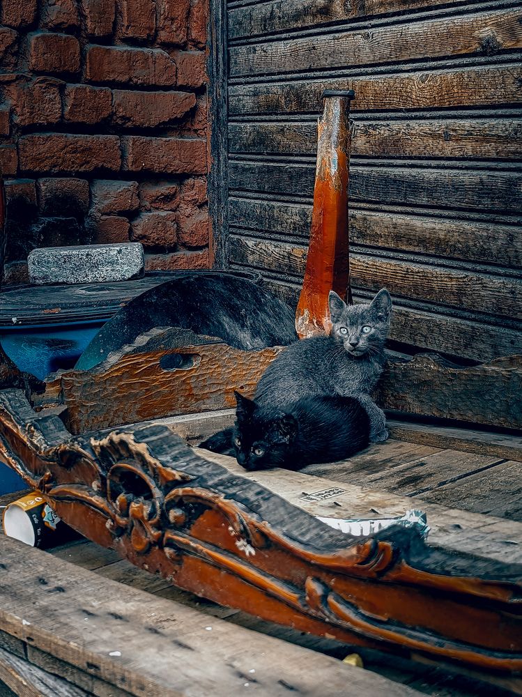 Photograph by Uliana Volegova