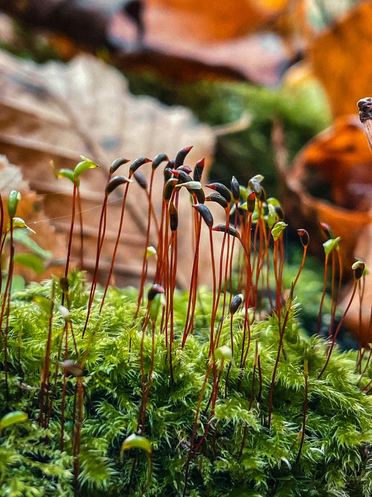 Фотография автора Ольга Каминская