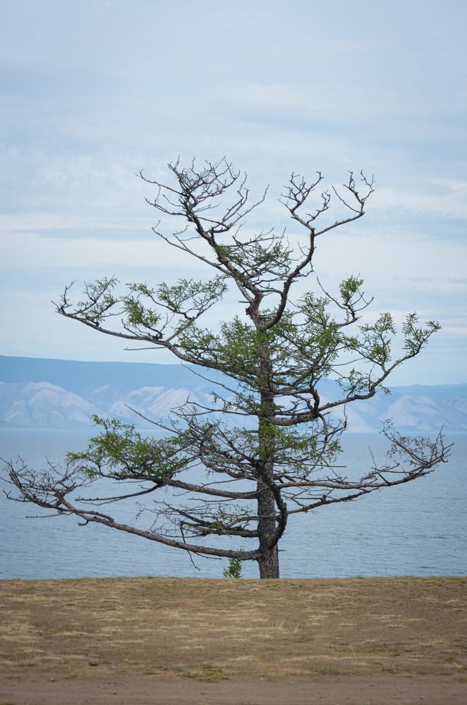 Photograph by Татьяна Герасимцева