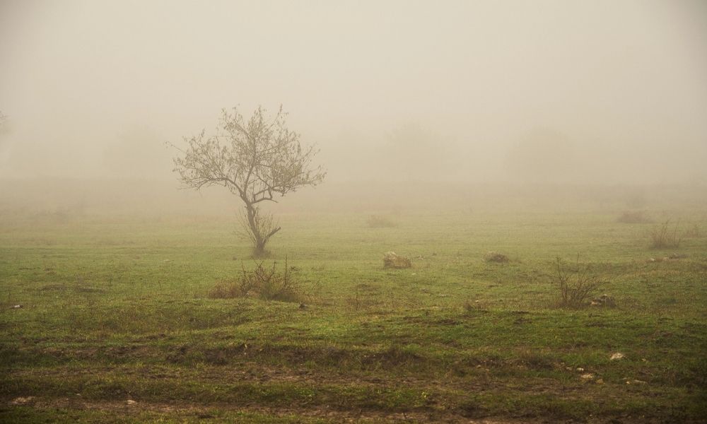 Photograph by Екатерина Игоревна