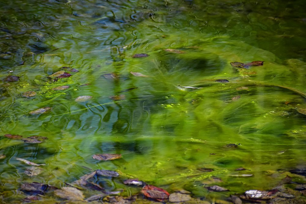 Весеннее настроеие