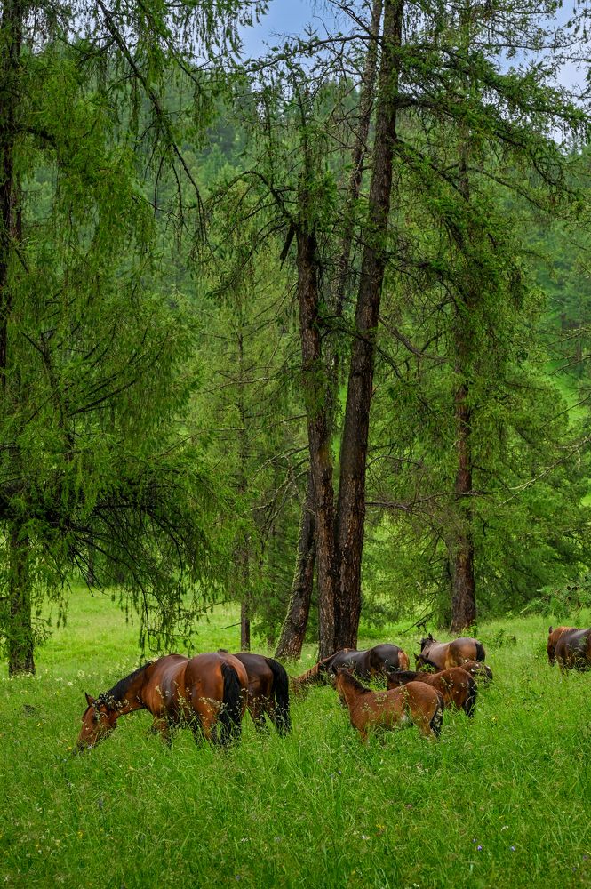 Photograph by Alexandr Myasnikov