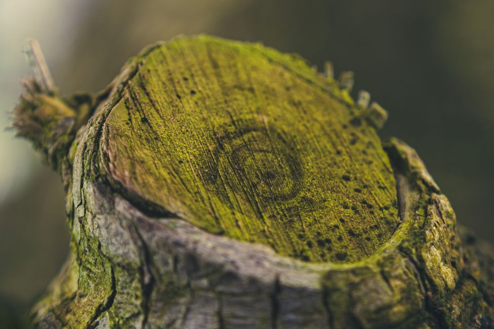 Photograph by Enrique Gil