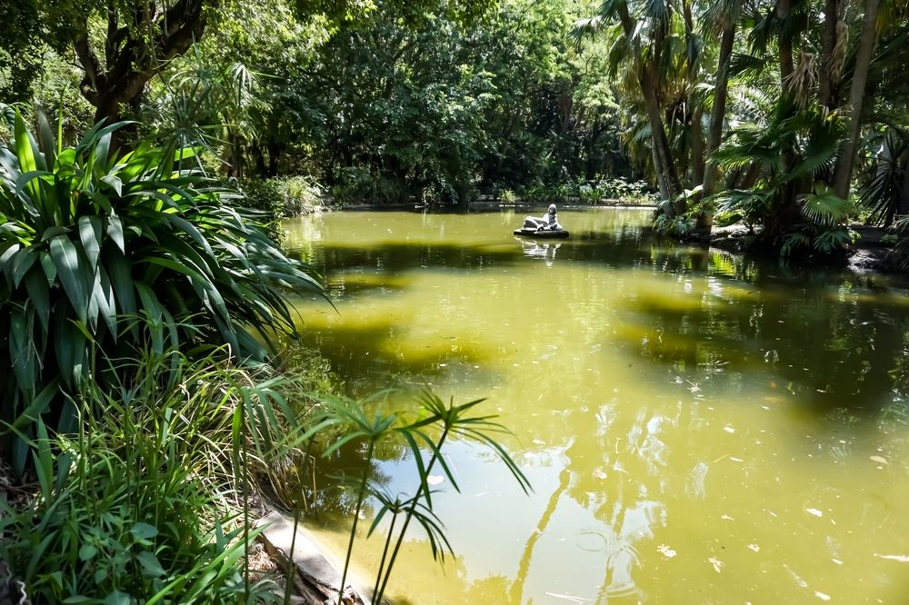 jardin d\'essai el hamma - algeria -