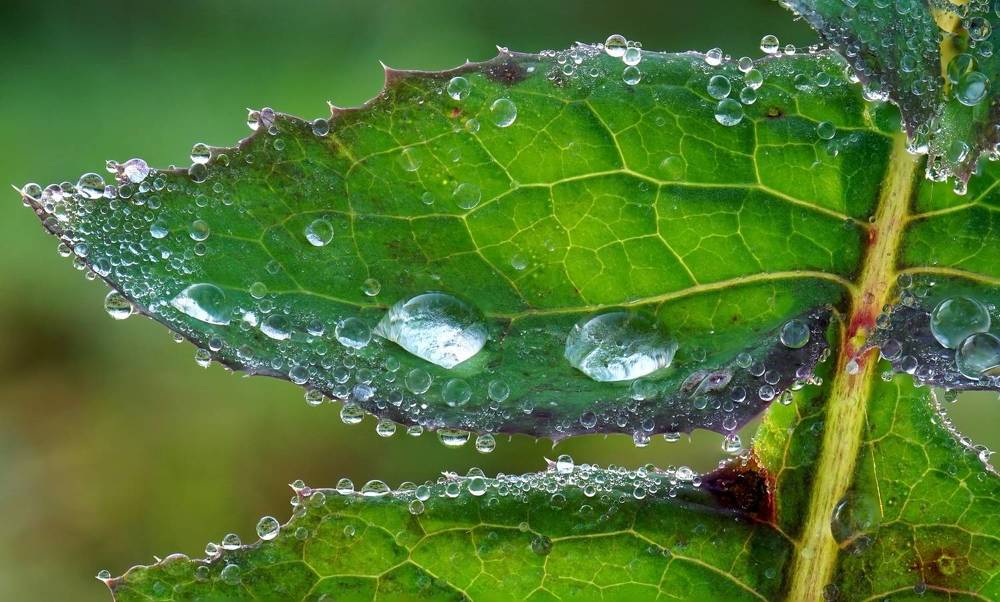 Photograph by Наталья Соколова