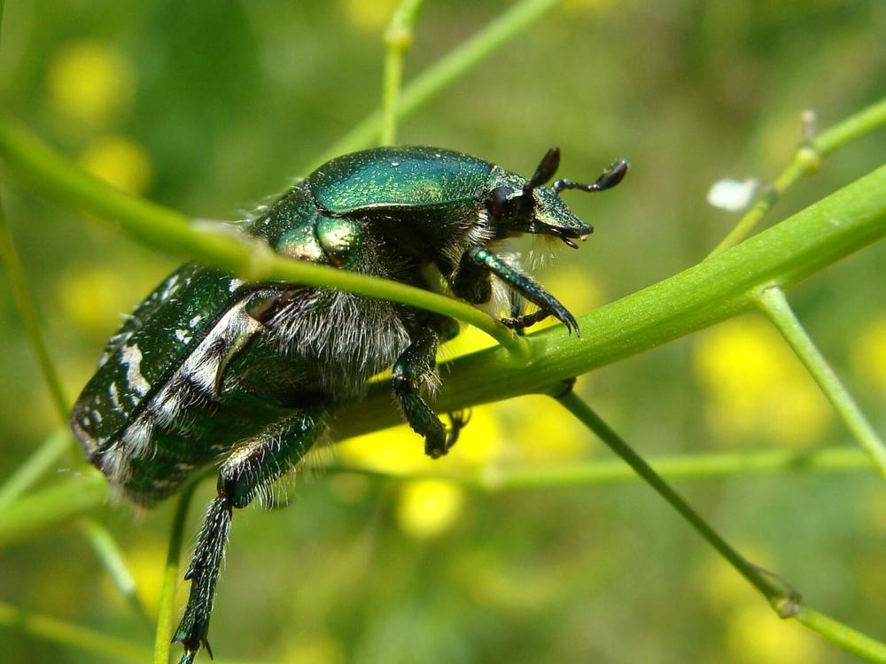 Фотография автора Павел Попов