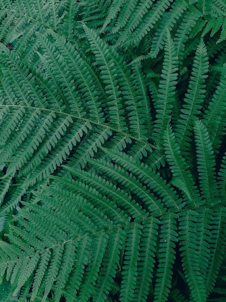 Фотография автора Ольга Войтехович