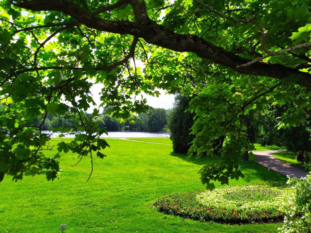 Photograph by Татьяна Клемба