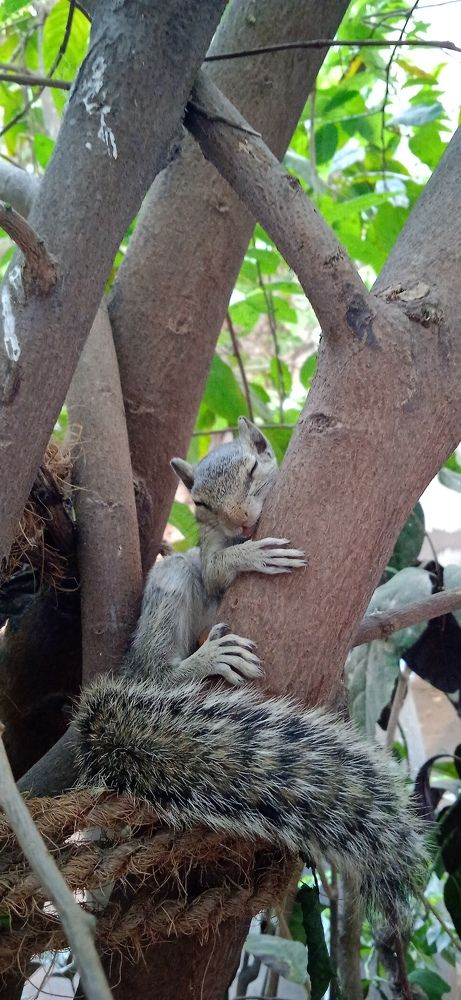 Photograph by Yasha Akhtar