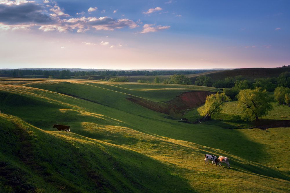 По весенней травке