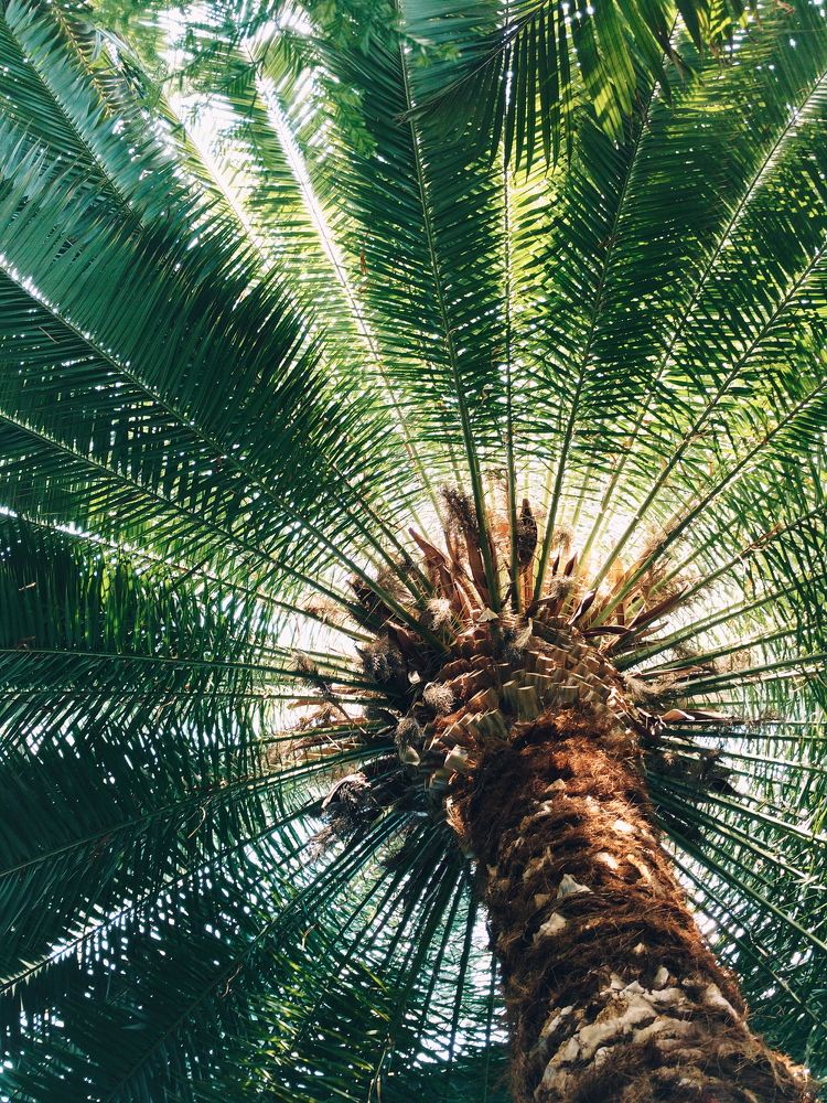 Photograph by Екатерина Кузнецова