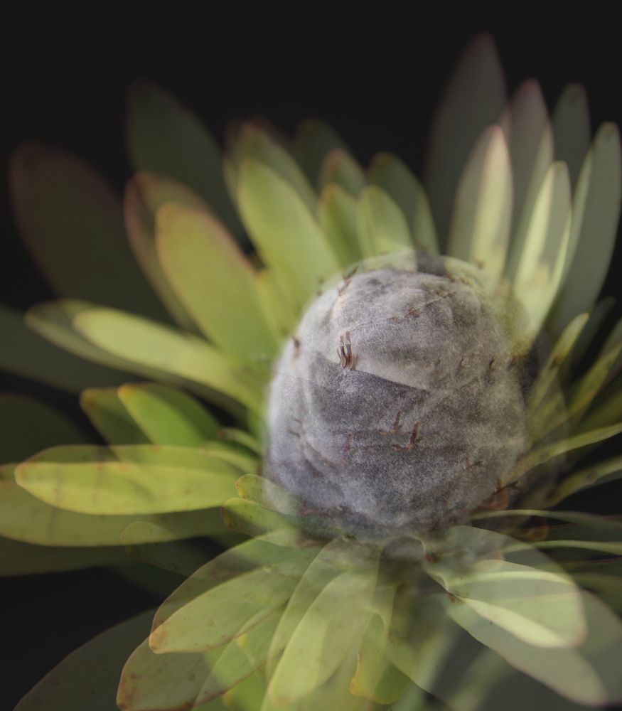 Photograph by Екатерина Кузнецова