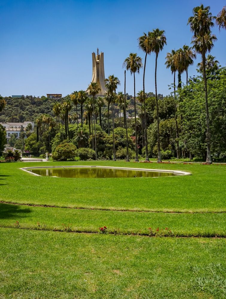 Фотография автора meciad mohamed amir eddine