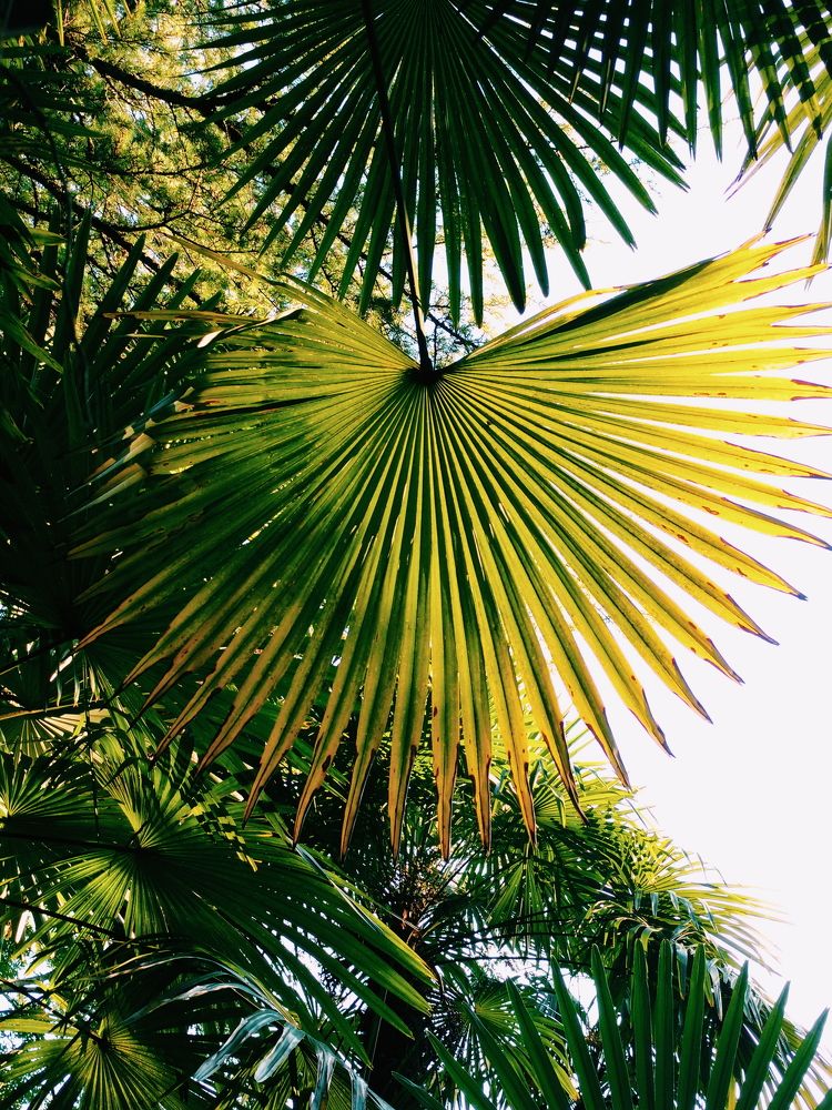 Photograph by Екатерина Кузнецова