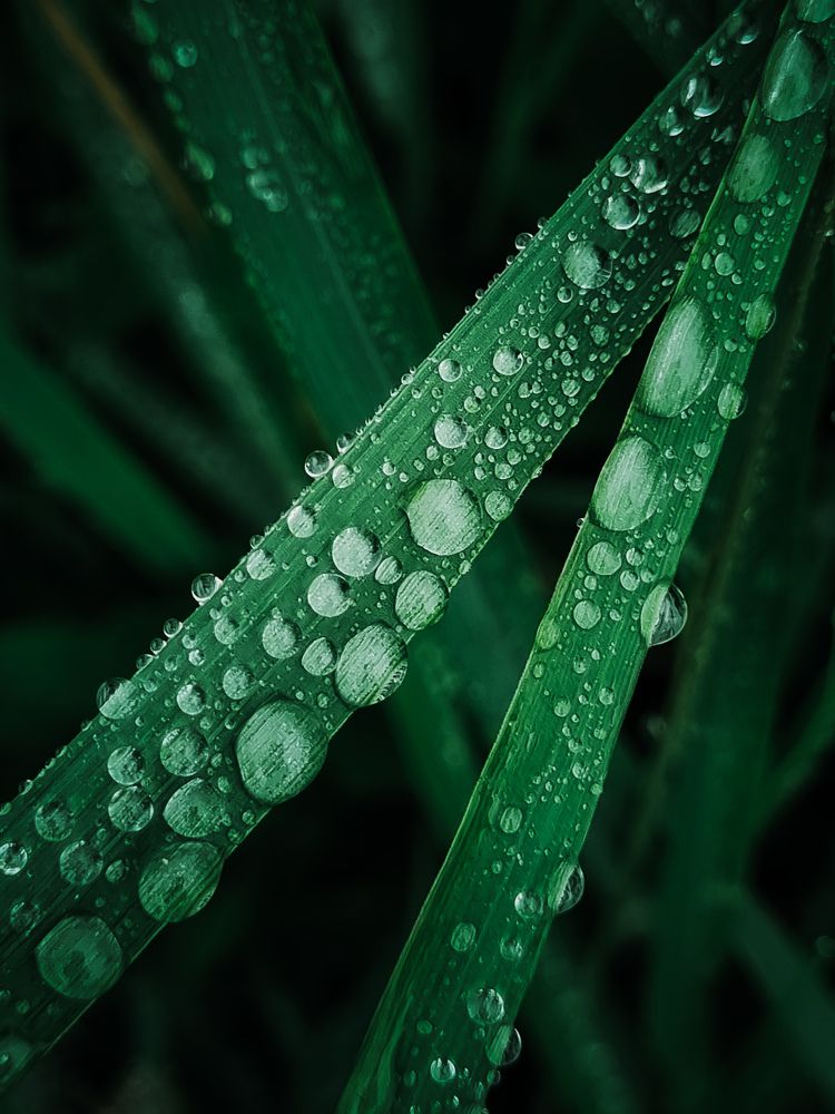 Photograph by Игорь Кабанов