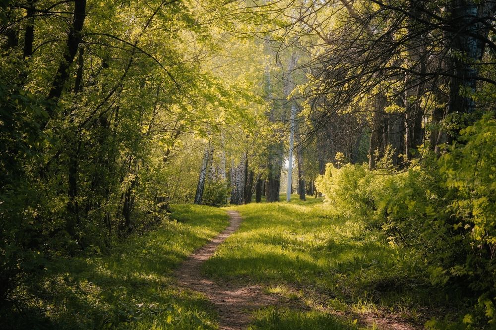 Photograph by Анна Любимова