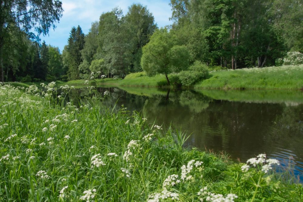 Photograph by Анна Васильева