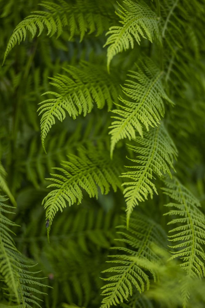 Photograph by Елена Перминова