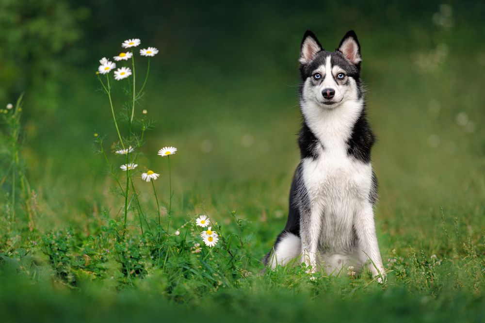 Photograph by Яна Нарбутович