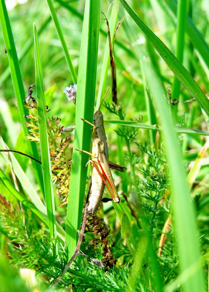 Photograph by Елена Казарина