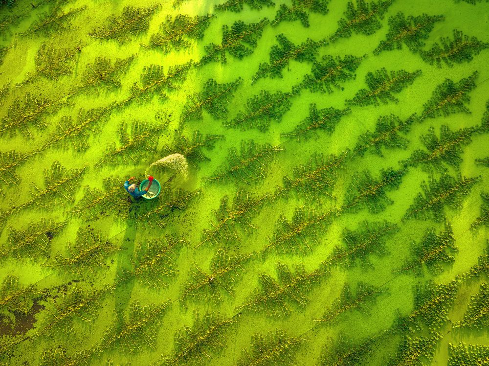 Photograph by Tran Phuong