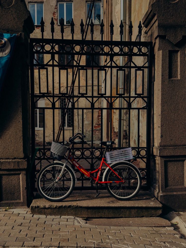 Photograph by Алиса Нежинская