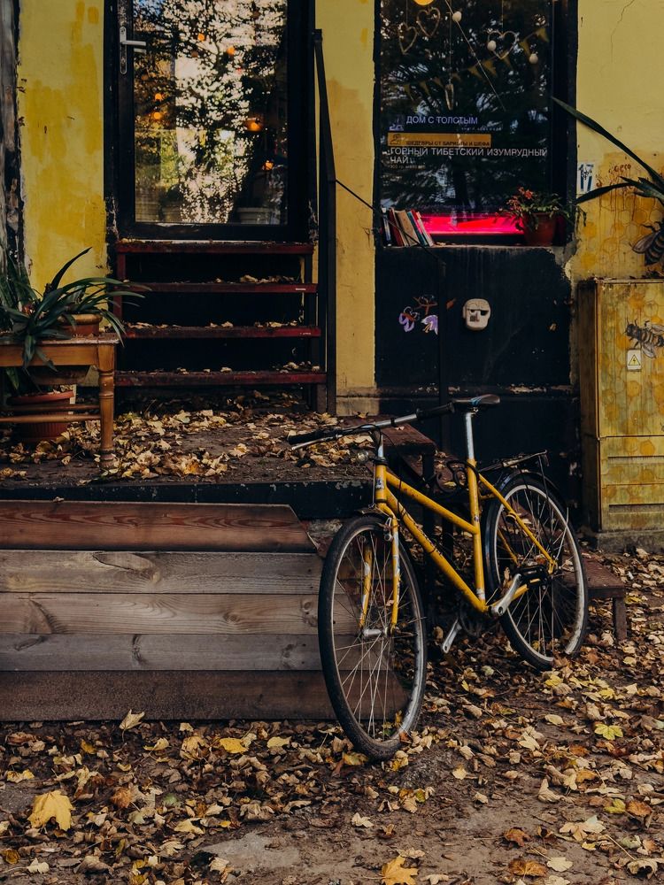 Photograph by Алиса Нежинская