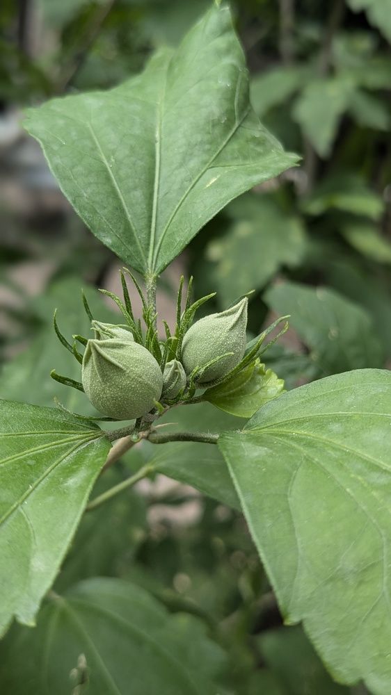 Photograph by Lilit Petrosyan