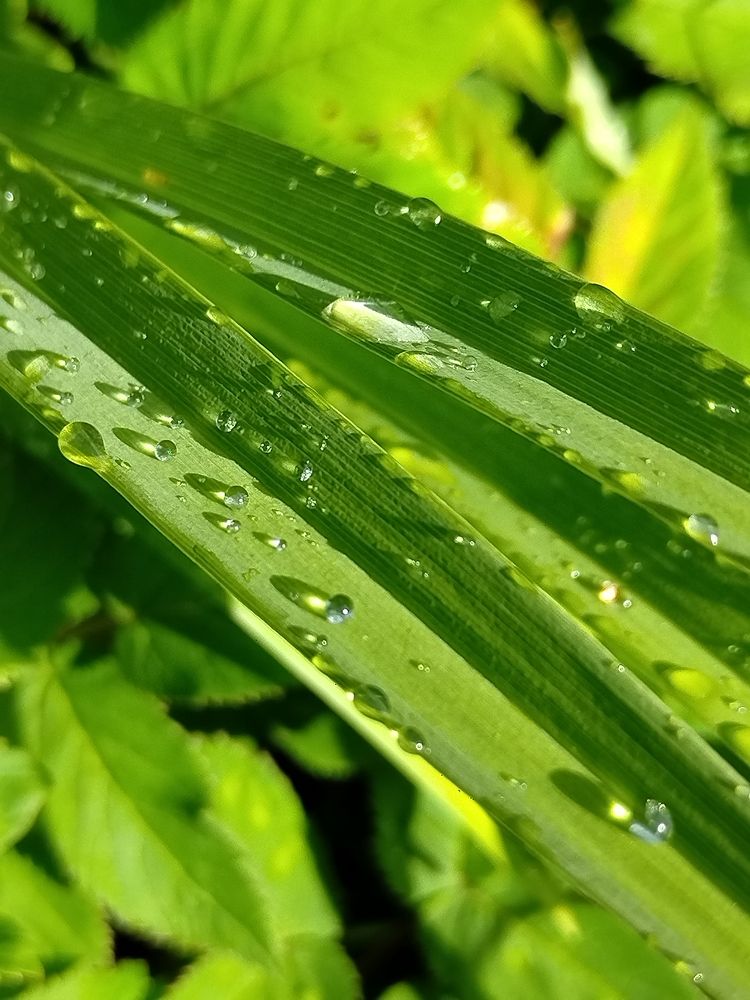 Photograph by Татьяна