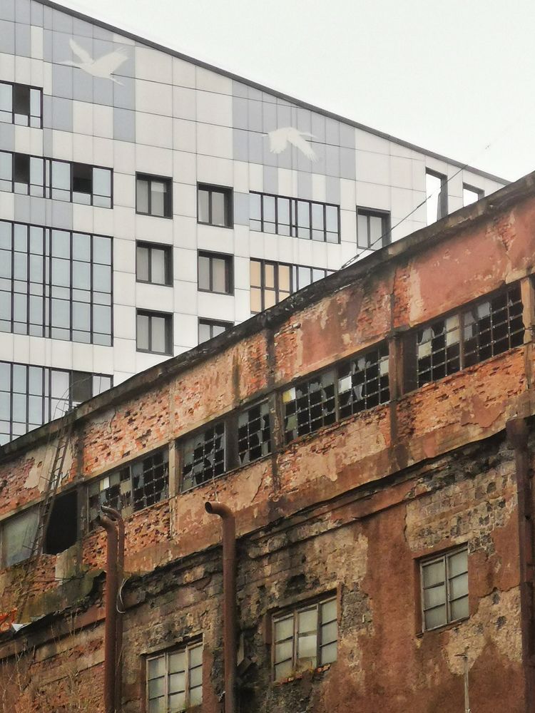 Фотография автора Владимир Коровяковский