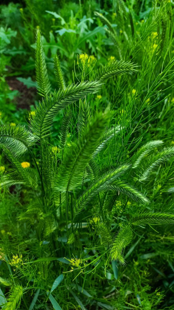 Photograph by Александра Королёва