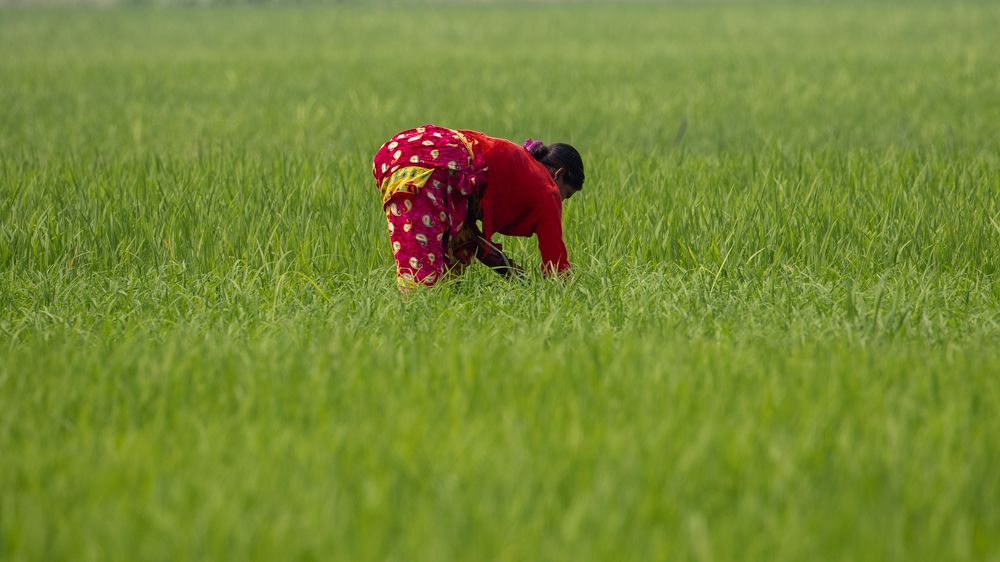 Photograph by Arnab Sarkar