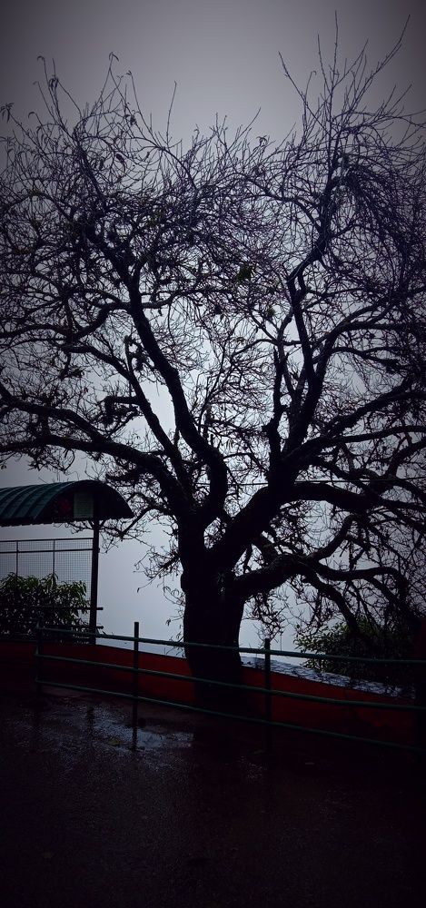 Фотография автора Captured Chronicles