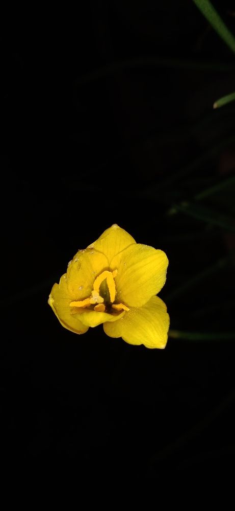 Photograph by Yasha Akhtar