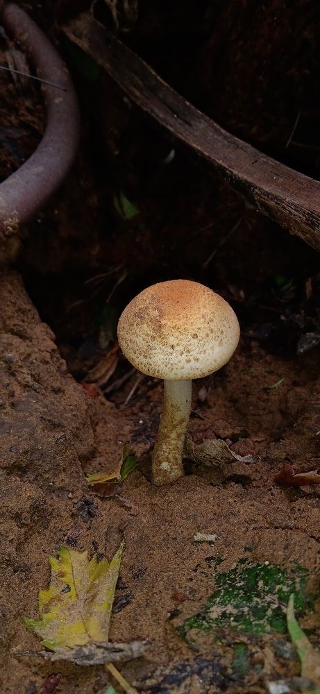 Photograph by Yasha Akhtar