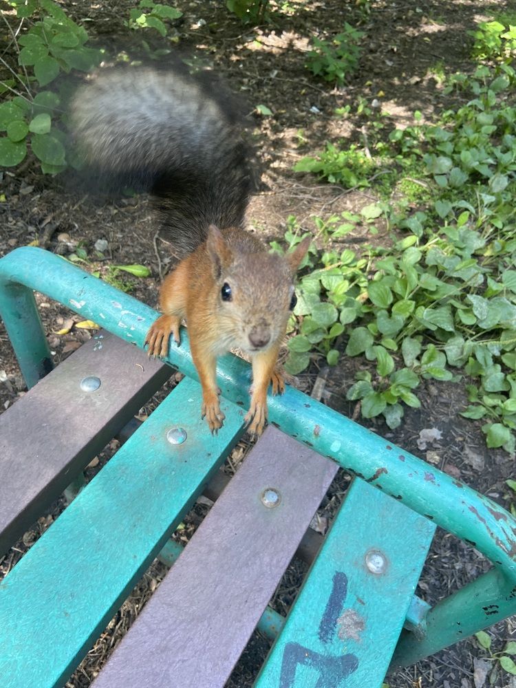 Photograph by Наталья Онофренчук