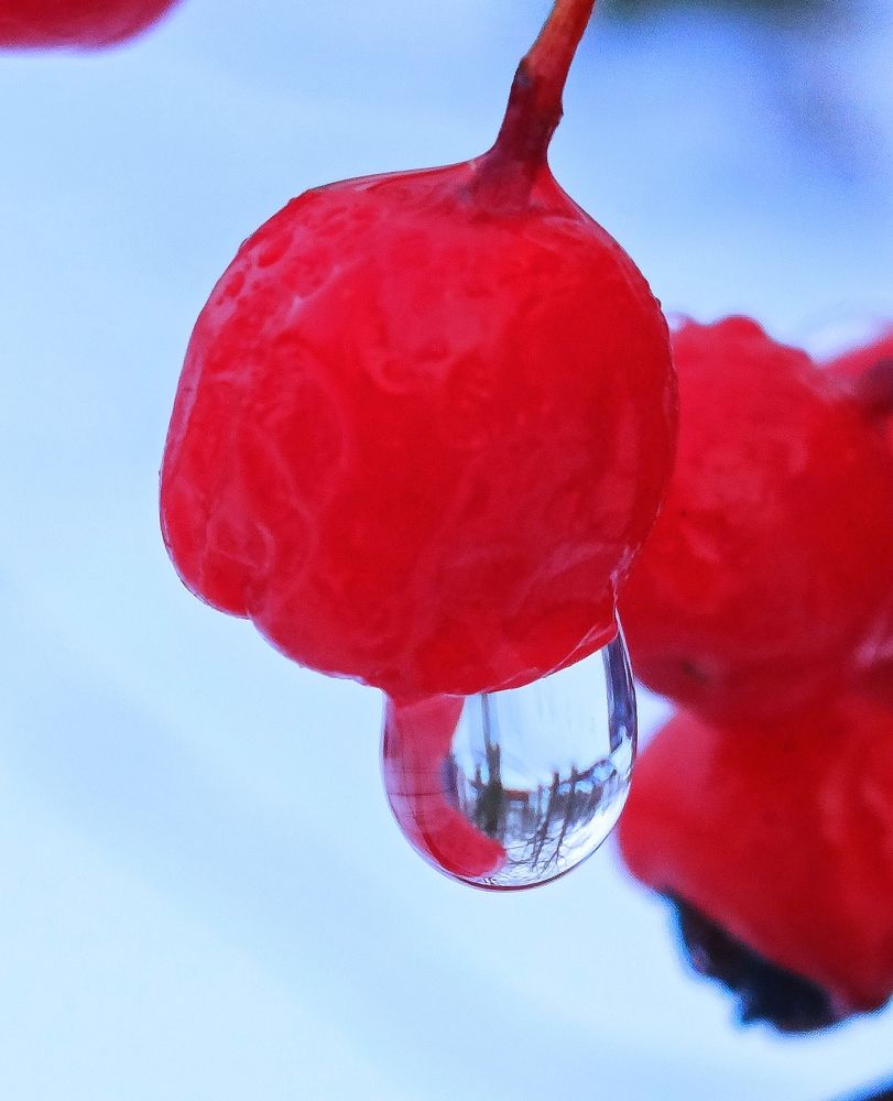 Photograph by Татьяна Бешенкина