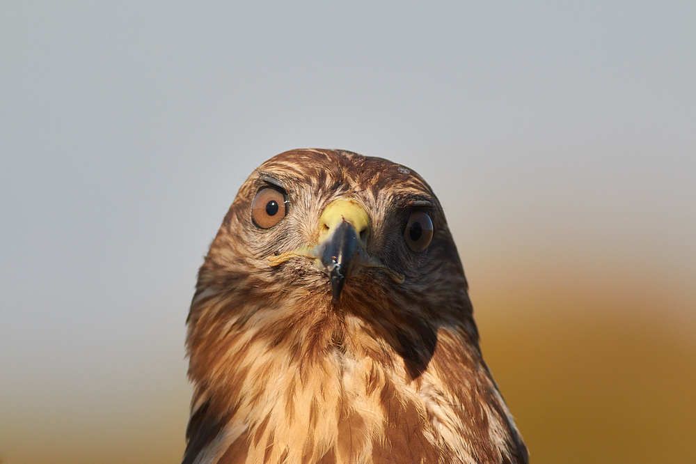 Photograph by Aleksandar