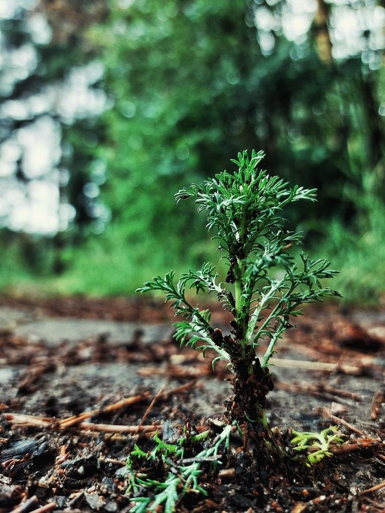 Photograph by Ксения Цветкова