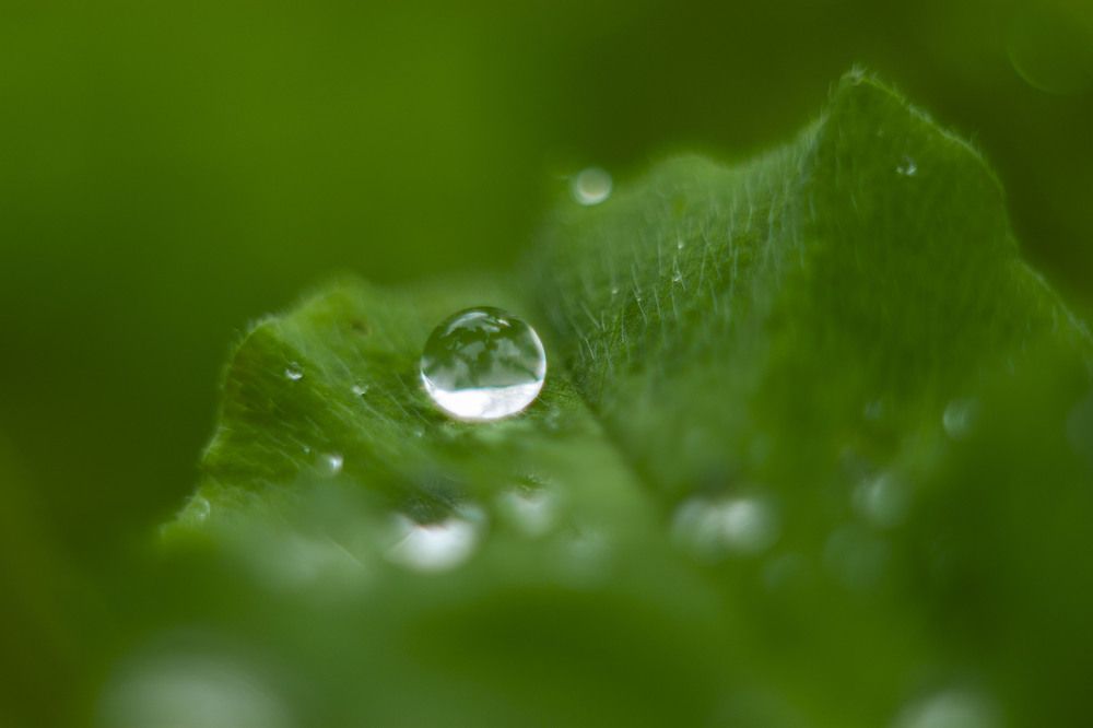 Photograph by Владислав Капанов