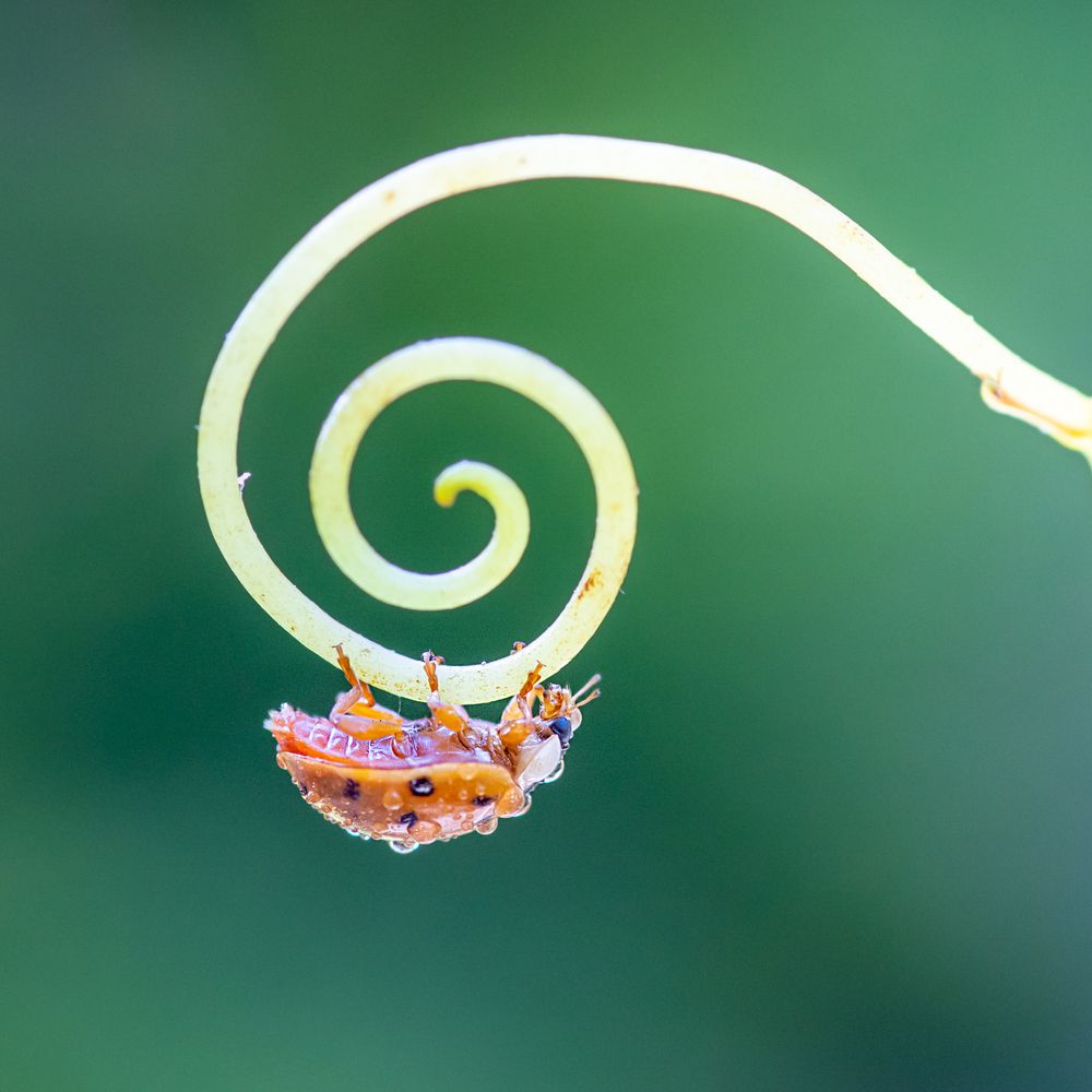 Photograph by Анна Иванова