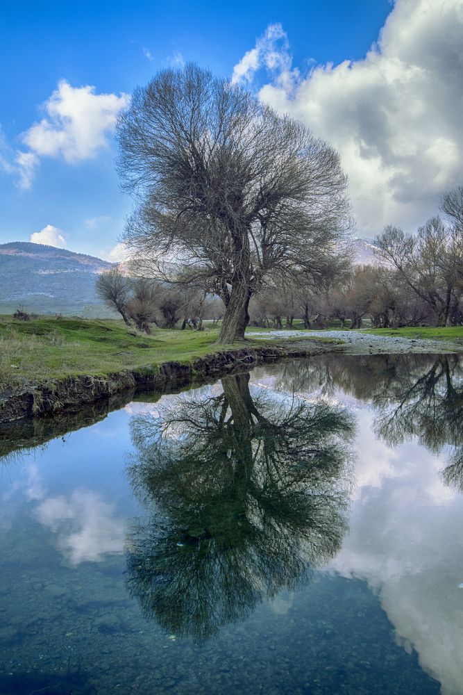 Photograph by RAWEZH AHMED