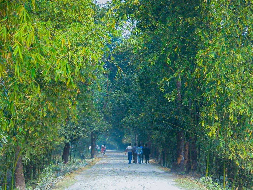 Photograph by Arnab Sarkar