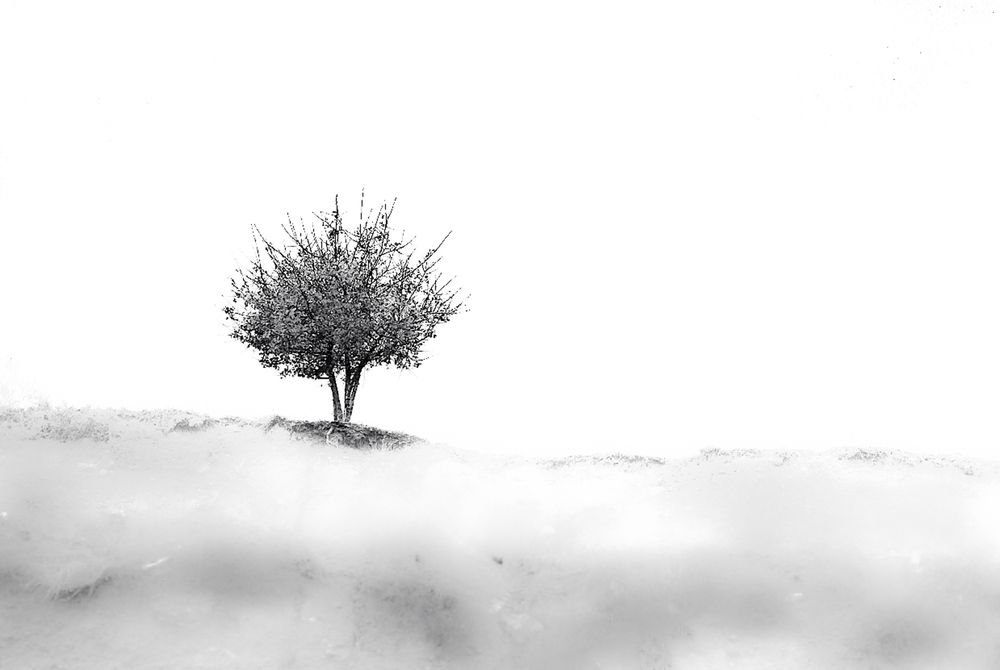 Photograph by Shakila Fathollahzadeh