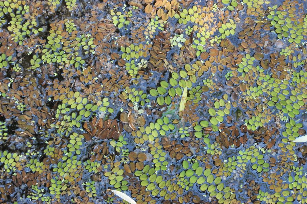 Photograph by Anastasia Kodatenko