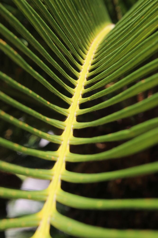 Photograph by Anastasia Kodatenko