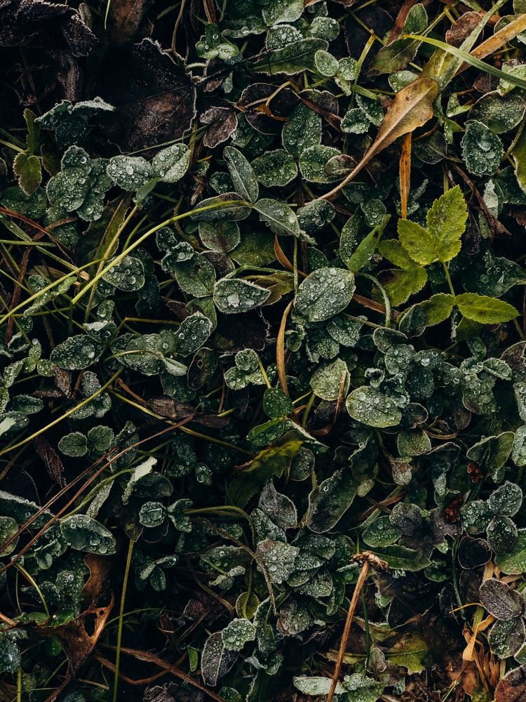 Photograph by Алиса Нежинская