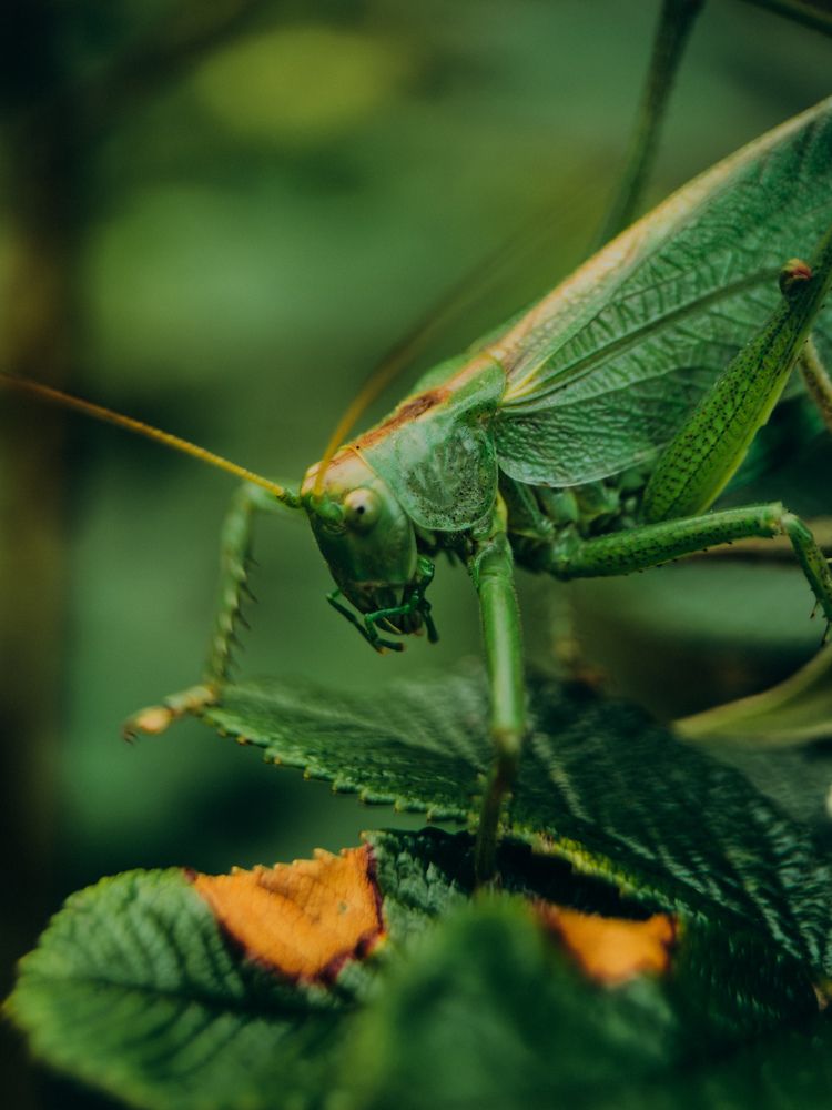 Photograph by Алиса Нежинская