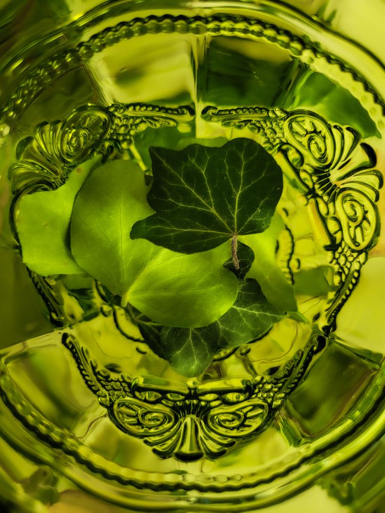 Photograph by Tatiana Aleksandrova