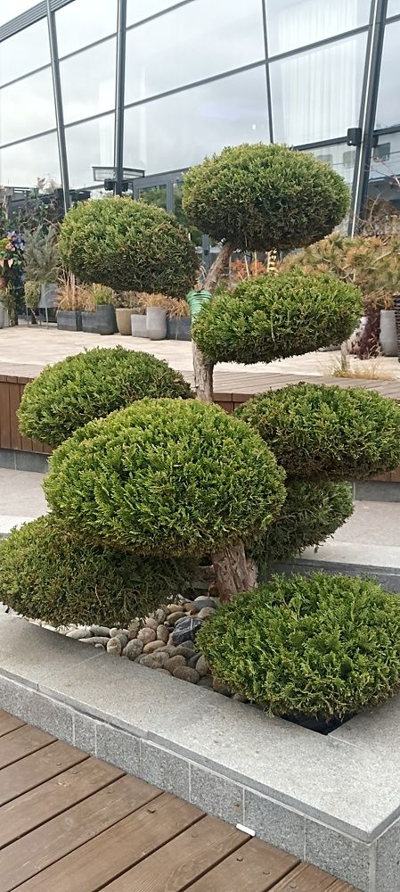 Photograph by Данил Костин